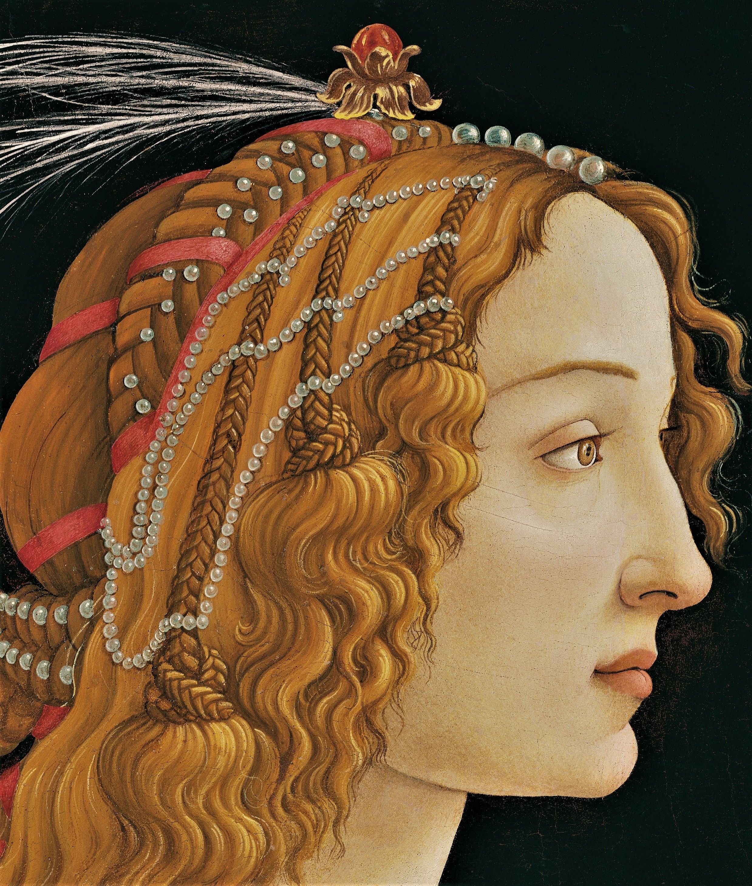 Образ ренессанс. Симонетта Веспуччи Боттичелли. Боттичелли портрет Симонетты Веспуччи. Симонетта Веспуччи (1453-1476 г.г.). Симонетта Веспуччи портрет.