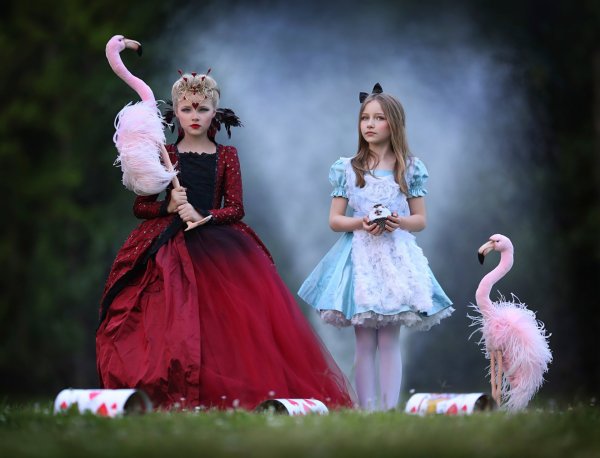 Алиса в Зазеркалье Фламинго