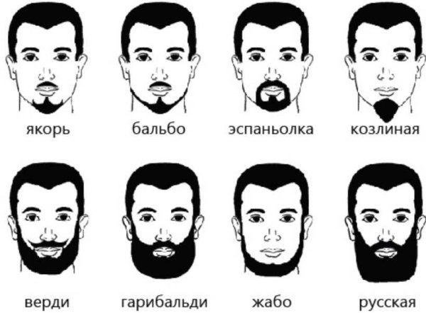 Борода типы и формы