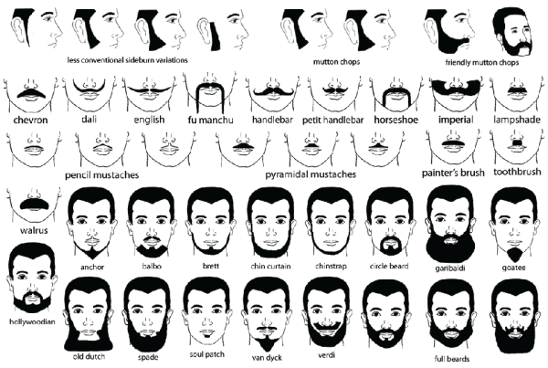 Форма бороды у мужчин названия