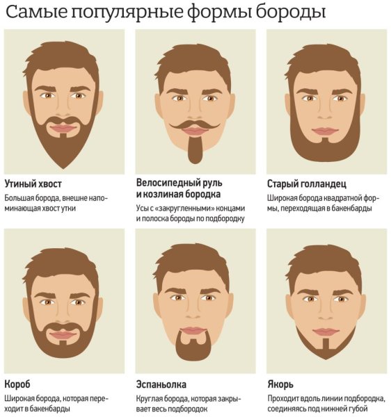 Разновидности форм бороды