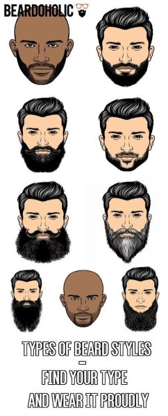 Типы бороды
