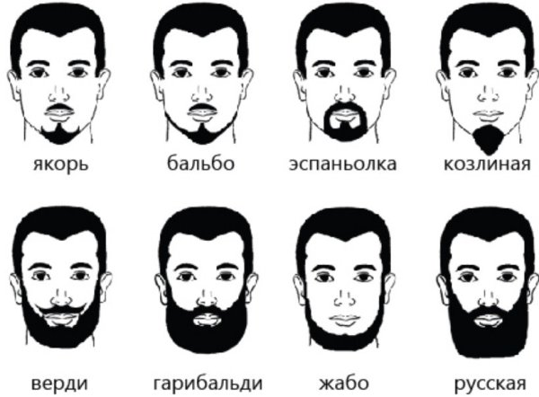 Типы бородок